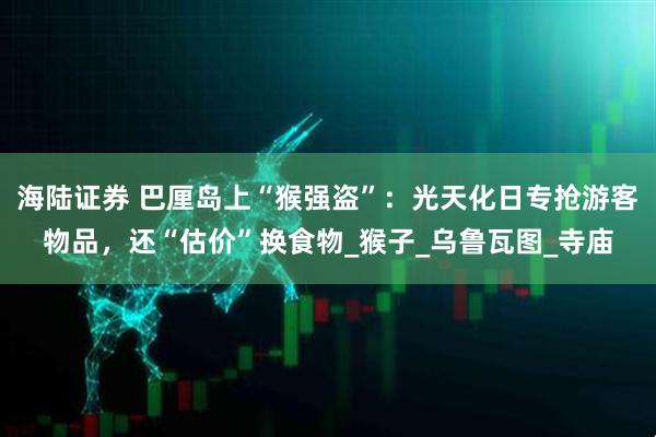 海陆证券 巴厘岛上“猴强盗”：光天化日专抢游客物品，还“估价”换食物_猴子_乌鲁瓦图_寺庙