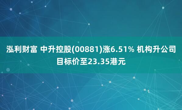 泓利财富 中升控股(00881)涨6.51% 机构升公司目标价至23.35港元