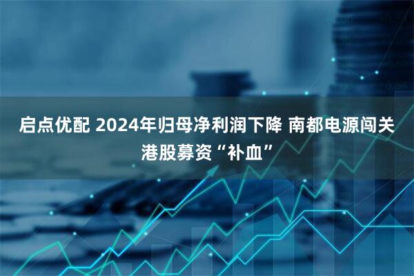 启点优配 2024年归母净利润下降 南都电源闯关港股募资“补血”